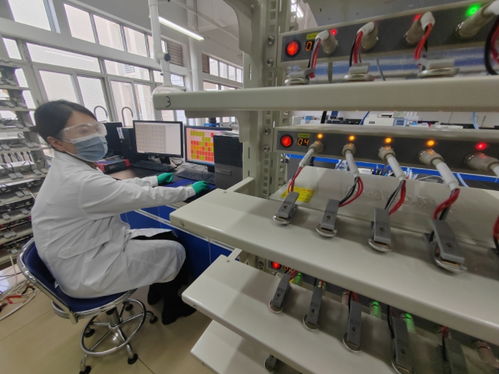 中國首創！洛陽牡丹殼變廢為寶，開啟鈉電池負極材料新紀元